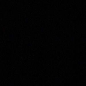 Meet your Posher, Brenner